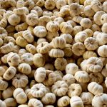 Pumpkin Garden Seeds (Treated) – Baby Boo – 4 oz – Heirloom, Non-GMO