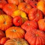 Cinderella Pumpkin Garden Seeds (Rogue Vif d’Etampes) – 1 Lb Bulk