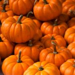 Pumpkin Garden Seeds – Jack Be Little – 1 oz – Non-GMO, Deep Orange