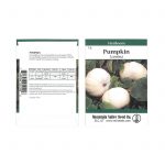 Pumpkin Garden Seeds – Lumina Variety – 2 Gram Packet – Non-GMO