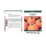 Pumpkin Garden Seeds – Sugar Pie-5 g-Non-GMO, Heirloom, Pies, Canning