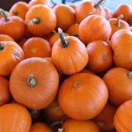 Pumpkin Garden Seeds- Wee-B-Little Variety – 4 oz – Heirloom Vegetable