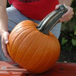 Pumpkin Garden Seeds – Wolf Variety (Large Handle) – 1 oz – Non-GMO