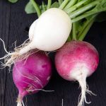 Easter Egg Blend Radish Seeds – 5 Lb Seed Pouch – Heirloom Vegetable