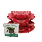 Culinary Herb Garden Kit with Stack & Grow Stackable Planter – Red
