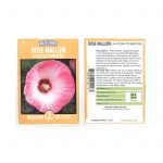Rose Mallow Wildflower Seeds – 2 Gram Seed Packet – Annual Shrub