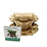 Culinary Herb Garden Kit with Stack & Grow Stackable Planter – Sand