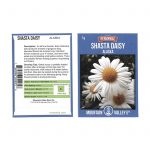 Shasta Daisy Flower Seeds – Alaska Variety – 1 g – White & Yellow