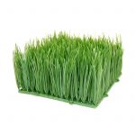 Artificial Decorative Ornamental Wheat Grass-Plastic Wheatgrass 6×6 in