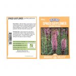Spiked Gayfeather Liatris Flower Garden Seeds- 500 g Packet-Perennial