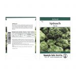 Avon Hybrid Spinach Garden Seeds- 4 g Pkg – Non-GMO Leafy Greens Seeds
