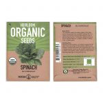 Organic Bloomsdale Spinach Seeds – Long Standing – 4 g – Heirloom