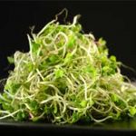 Grand Canyon Kick Sprouting Seed Mix – 3 Oz – Non-GMO, Organic Sprout