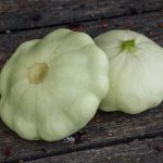 Early White Scallop Summer Squash Garden Seeds – 4 Oz – Heirloom