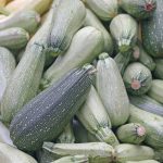 Grey Zucchini Summer Squash Garden Seeds – 4 Oz – Non-GMO, Heirloom