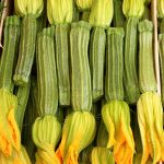 Greyzinni Hybrid Zucchini Summer Squash Garden Seeds – 1 Oz – Non-GMO