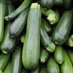Spineless Beauty Zucchini Summer Squash Garden Seeds (Treated) – 1000