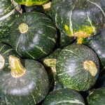 BonBon Hybrid Winter Squash Garden Seeds – 4 Oz – Non-GMO – Vegetable
