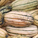 Delicata Winter Squash Garden Seeds – 1 Lb – Non-GMO, Heirloom