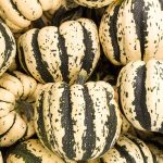 Sweet Dumpling Winter Squash Garden Seeds – 1 Lb – Heirloom, Non-GMO