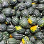 Table Queen Acorn Winter Squash Garden Seeds – 4 Oz – Vegetable