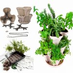 Indoor Culinary Herb Garden Seed Starter Kit + Planter – Stone