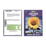 Sunflower Garden Seeds – Mammoth Grey Stripe – 8 g – Annual Sun Flower