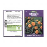 Sunflower Flower Garden Seeds – Teddy Bear – 2 g Packet – Annual