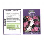 Sweet Pea Flower Garden Seeds – Knee Hi Mix – 3 g Packet – Annual