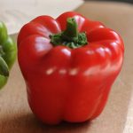 Cute Stuff Red – Sweet Pepper Garden Seeds- 100 Seeds- Non-GMO – Bell