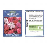 Sweet William Flower Garden Seeds – Double Mixture – 1 g – Perennial