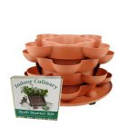Culinary Herb Garden Kit w/ Stack & Grow Stackable Planter-Terracotta
