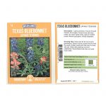 Lupine Flower Garden Seeds – Texas Blue Bonnet – 1 g – Bluebonnet