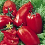 Tomato Garden Seeds – Amish Paste – 0.25 Oz – Non-GMO, Heirloom