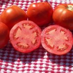 Tomato Garden Seeds – Beefsteak (Ponderosa Red) – 4 Oz – Vegetable