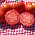 Tomato Garden Seeds – Beefsteak (Ponderosa Red) – 1 Oz – Organic