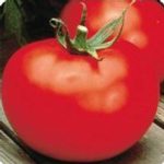 Tomato Garden Seeds – Better Boy Hybrid -100 Seed – Non-GMO, Vegetable