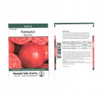 Tomato Garden Seeds – Big Beef Hybrid -10 Seeds – Non-GMO, Vegetable