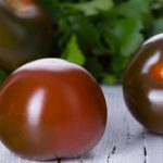 Tomato Garden Seeds -Black Cherry – 1 Oz – Non-GMO, Organic Vegetable