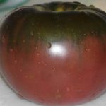 Tomato Garden Seeds -Black From Tula – 1 Oz – Non-GMO, Heirloom