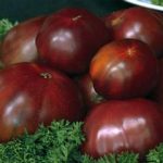 Tomato Garden Seeds -Black Russian – 500 Seeds – Heirloom Vegetable