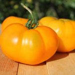Tomato Garden Seeds – Brandywine Yellow – 0.25 Oz – Heirloom Vegetable