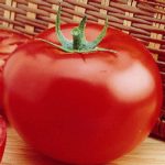 Tomato Garden Seeds – Delicious – 1 Lb Bulk – Non-GMO, Heirloom Seed