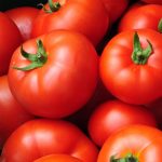 Tomato Garden Seeds- Early Girl Hybrid – 1000 Seed- Non-GMO, Vegetable