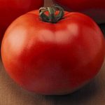 Tomato Garden Seeds – Goliath Hybrid – 100 Seeds – Non-GMO