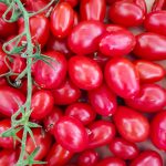 Tomato Garden Seeds – Juliet Hybrid – 1000 Seeds – Non-GMO, Vegetable