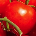 Tomato Garden Seeds – VR Moscow (Determinate) – 0.25 Oz – Vegetable