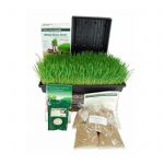 Organic Wheatgrass Growing Kit & Tornado Wheat Grass Juicer