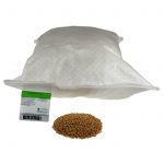 Organic Triticale Seeds- 50 Lb Bulk – Grain, Grind Flour, Food Storage