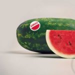 Watermelon Garden Seeds – Sangria Hybrid (Treated) – 1000 Seed – Melon